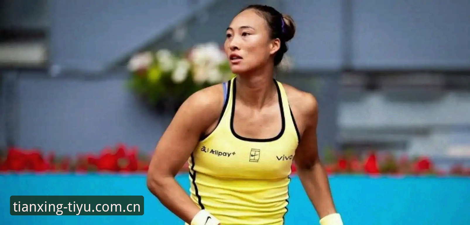 法网女单抽签深度解析：郑钦文保分战与王欣瑜种子突围操作教程